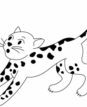 Leopard 01 - 10doigts.fr