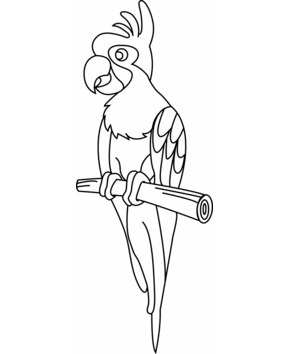 Loro01 - 10doigts.fr