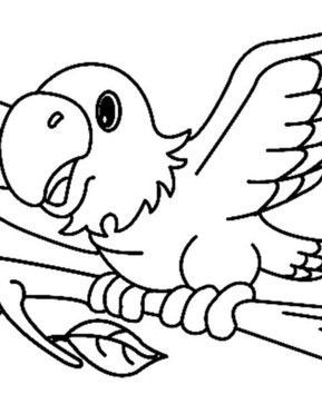 Parrot02 - 10doigts.fr