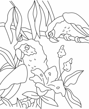 Loro03 - 10doigts.fr