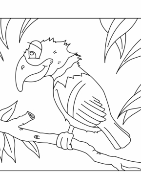 Parrot04 - 10doigts.fr