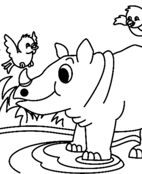 Rinoceronte 01 - 10doigts.fr