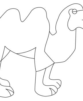 Camello 01 - 10doigts.fr