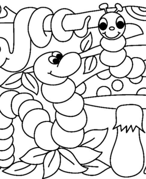 Oruga 02 - 10doigts.fr