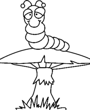 Oruga 04 - 10doigts.fr