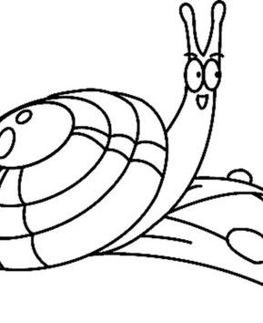 Snail 01 - 10doigts.fr