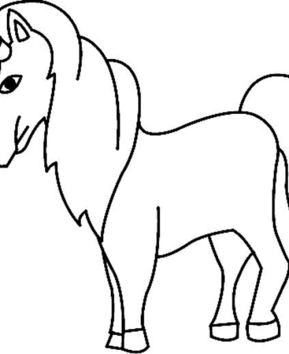 Unicorn 02 - 10doigts.fr