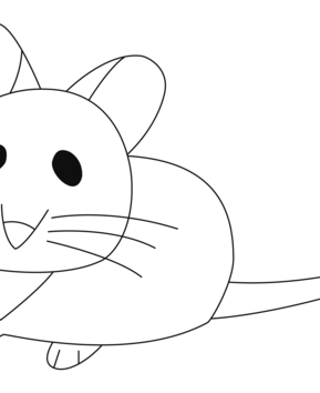 Mouse 14 - 10doigts.fr