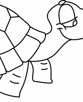 Tortuga 01 - 10doigts.fr