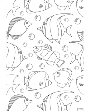 Marine animals10 - 10doigts.fr