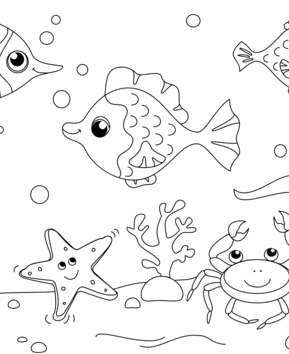 Marine animals11 - 10doigts.fr