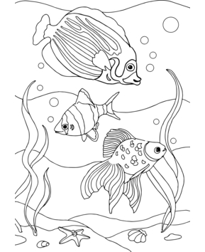 Animales marinos8 - 10doigts.fr