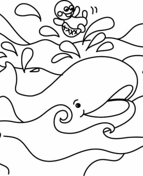 Whale 04 - 10doigts.fr