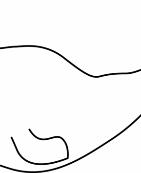 Ballena 07 - 10doigts.fr