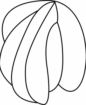 Seashell 01 - 10doigts.fr