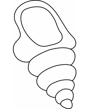 Concha 03 - 10doigts.fr