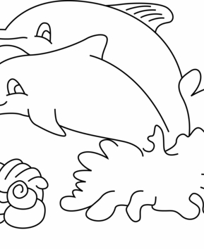 Dolphin 03 - 10doigts.fr