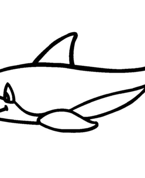 Dolphin 05 - 10doigts.fr