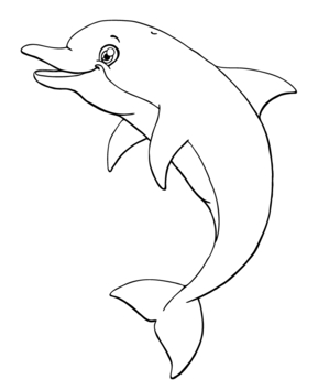 Delfín 09 - 10doigts.fr