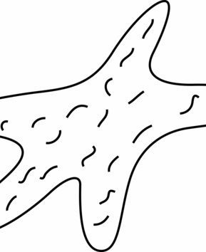 Estrella de mar 01 - 10doigts.fr