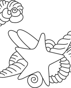 Starfish 02 - 10doigts.fr