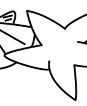 Starfish 03 - 10doigts.fr