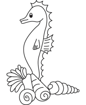 Seahorse 02 - 10doigts.fr