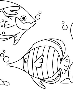 Pez 03 - 10doigts.fr