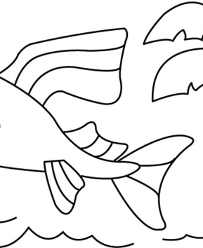 Pez 06 - 10doigts.fr