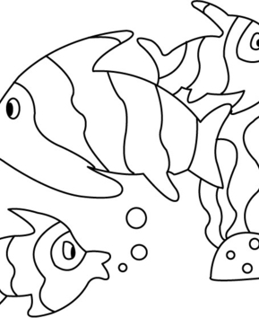 Fish 08 - 10doigts.fr