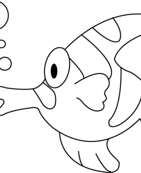 Fish 11 - 10doigts.fr