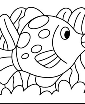 Fish 13 - 10doigts.fr