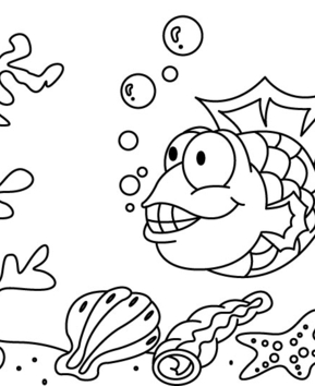 Pez 14 - 10doigts.fr