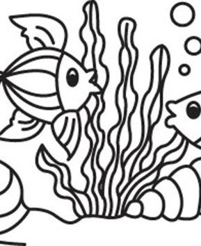 Fish 17 - 10doigts.fr