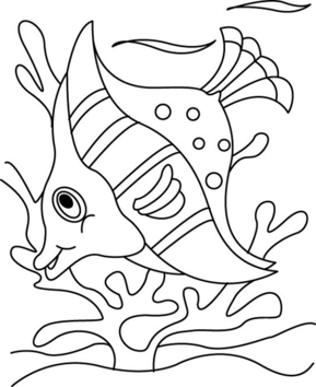 Fish 18 - 10doigts.fr