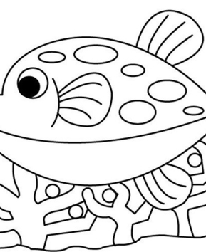 Pez 23 - 10doigts.fr