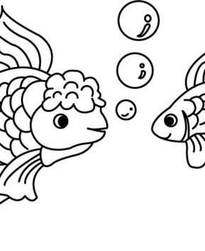 Fish 24 - 10doigts.fr