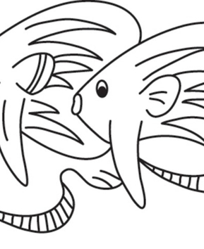 Fish 25 - 10doigts.fr