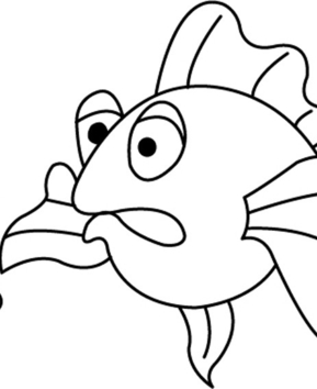 Fish 26 - 10doigts.fr