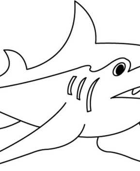 Tiburón 01 - 10doigts.fr