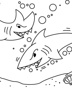 Shark 02 - 10doigts.fr