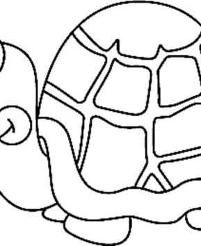 Turtle 03 - 10doigts.fr