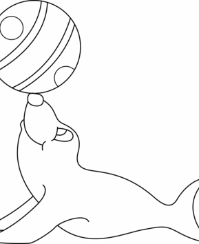 Foca 01 - 10doigts.fr