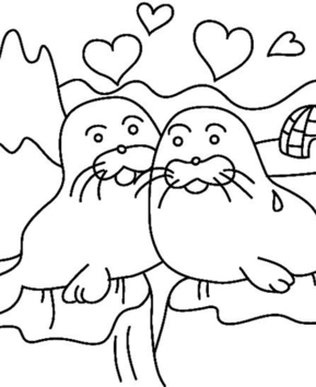 Foca 02 - 10doigts.fr