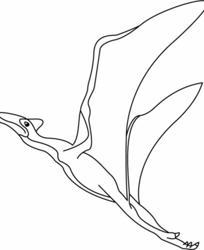 Quetzalcoatlus - 10doigts.fr