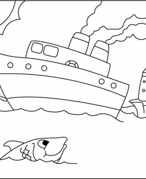 Barco 16 - 10doigts.fr