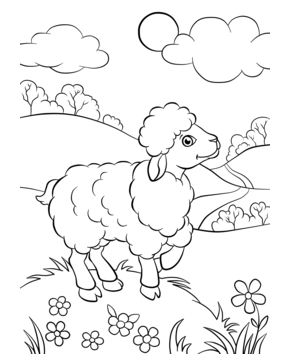 Lamb 01 - 10doigts.fr