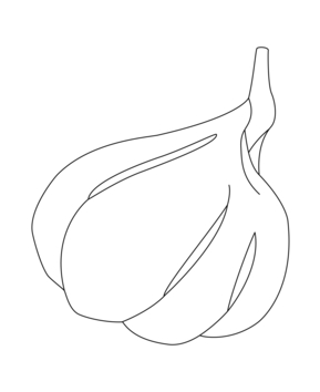 Garlic 01 - 10doigts.fr