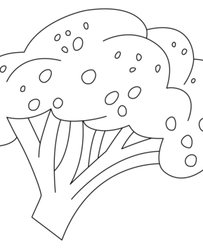 Broccoli 01 - 10doigts.fr