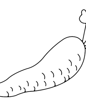 Carrot 02 - 10doigts.fr